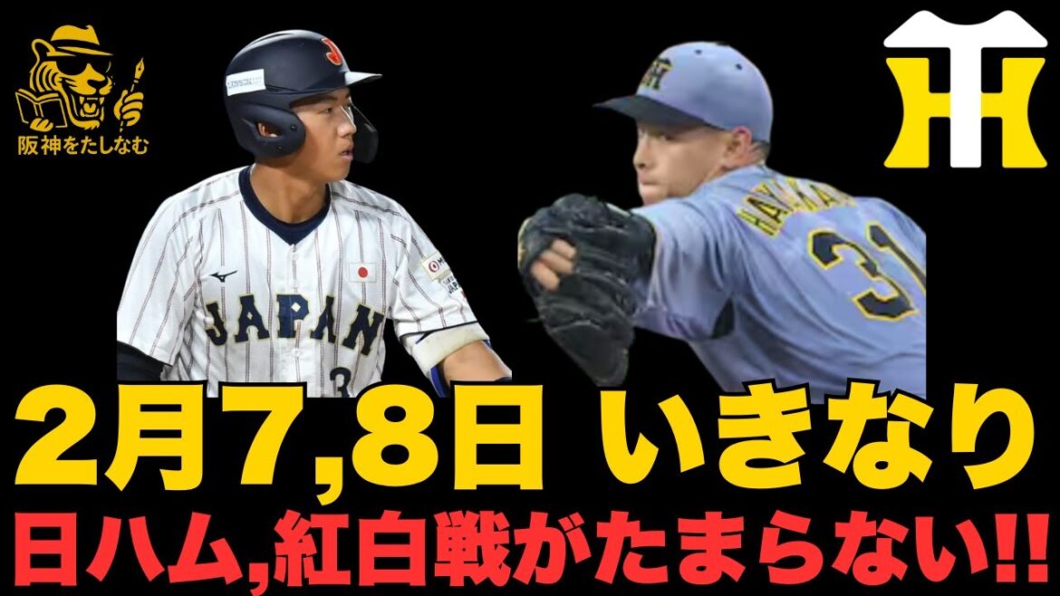 阪神キャンプ序盤から激アツ🔥2/7紅白戦、2/8日ハム戦の若手、ルーキー起用に超注目‼️#阪神タイガース＃阪神タイガースたしなむ#阪神　新外国人＃立石正広#デバニー＃ルーカス＃阪神　若手#谷端 将伍