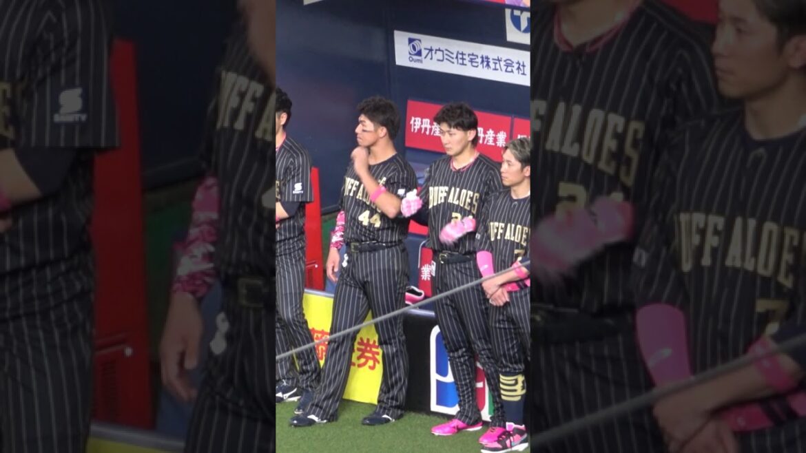 紅林のルーティンをちょい真似する西川龍馬 #西川龍馬  #紅林弘太郎  #オリックスバファローズ