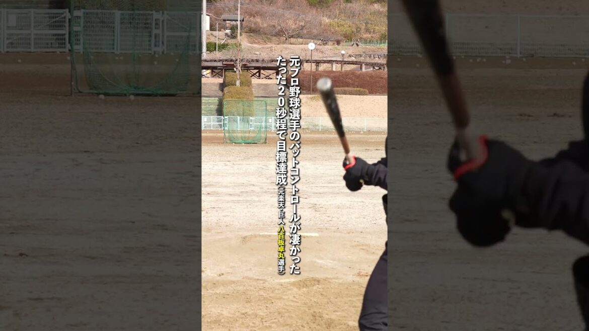 【元巨人】八百板卓丸選手の精密バットコントロールに驚愕 #プロ野球 #shorts 【元巨人】八百板卓丸選手の精密バットコントロールに驚愕 #プロ野球 #shorts