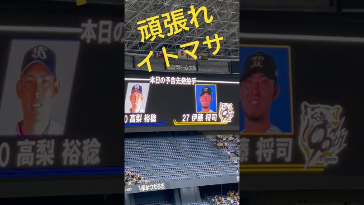 #tigers # 伊藤将司 #阪神タイガース #hanshintigers  #阪神 #阪神応援  #タイガース  #球場ビジョン#阪神甲子園球場 #猛虎 #hanshin