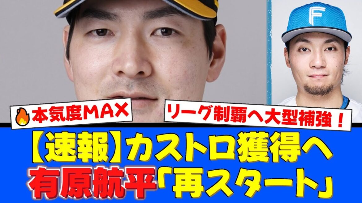 日本ハムが新助っ人カストロ獲得へ！有原航平も5億円で復帰「180イニング投げる」伊藤大海との大航海コンビで優勝狙う！【プロ野球ファンの反応】