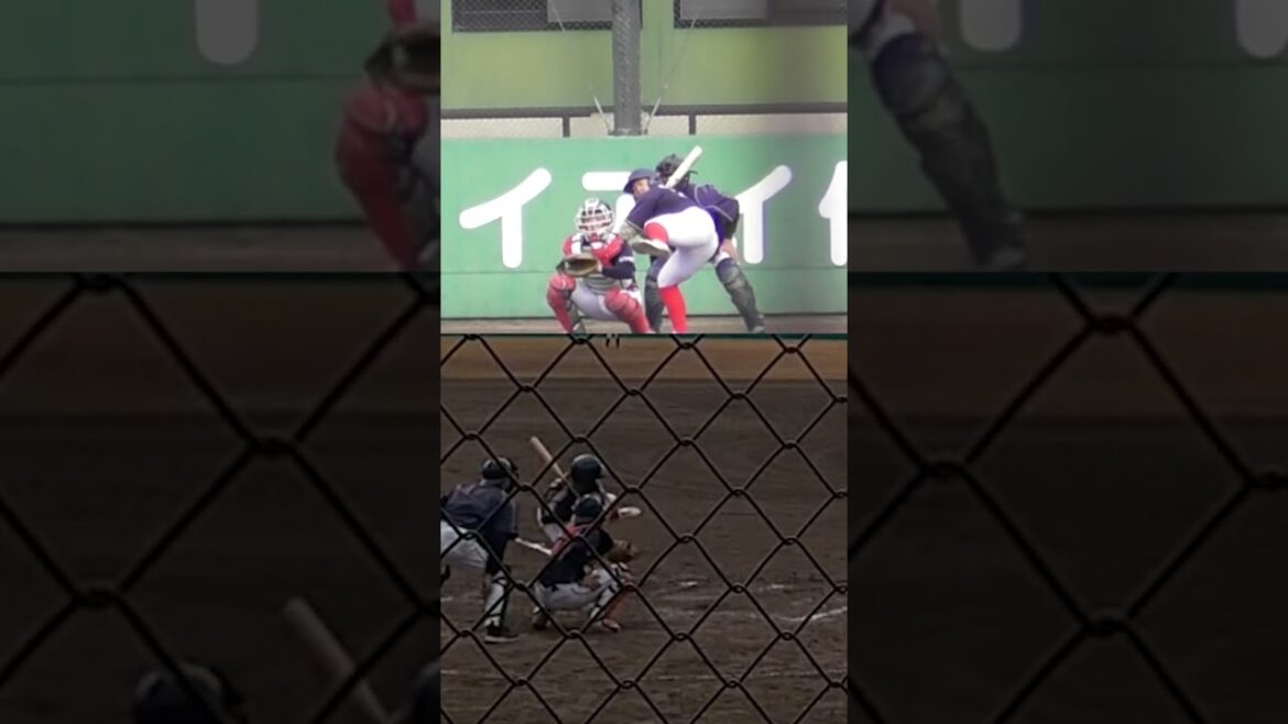 刺されてしまうとこうなる2画面　#shorts #baseball #野球  #バッティング #野球のミカタ #打撃探究部屋