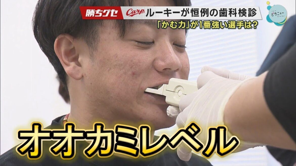 【Carpルーキー】かむ力No.1は?恒例の歯科検診|勝ちグセ|カープ|ピタニュー 【Carpルーキー】かむ力No.1は?恒例の歯科検診|勝ちグセ|カープ|ピタニュー