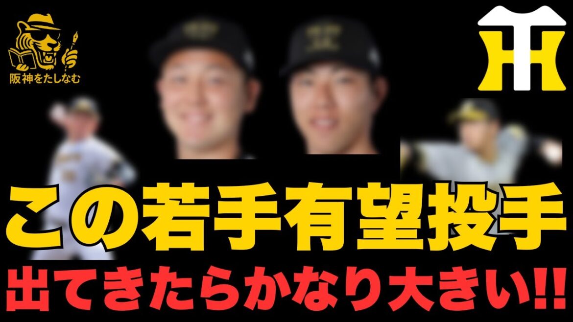 この若手に期待🔥一皮剥ければむちゃくちゃ大きい戦力になる‼️#阪神タイガース#セリーグ順位予想#阪神タイガースたしなむ#阪神 新外国人#新外国人候補 2026#デバニー#ルーカス阪神 若手 この若手に期待🔥一皮剥ければむちゃくちゃ大きい戦力になる‼️#阪神タイガース#セリーグ順位予想#阪神タイガースたしなむ#阪神 新外国人#新外国人候補 2026#デバニー#ルーカス阪神 若手