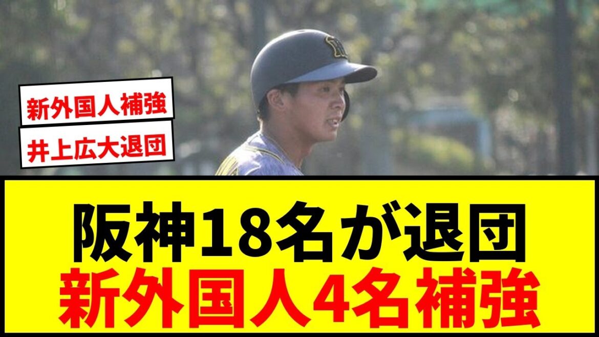 【速報】阪神、ロマン砲・井上広大ら18名が退団!新外国人4名補強で連覇へ盤石体制か 【速報】阪神、ロマン砲・井上広大ら18名が退団!新外国人4名補強で連覇へ盤石体制か