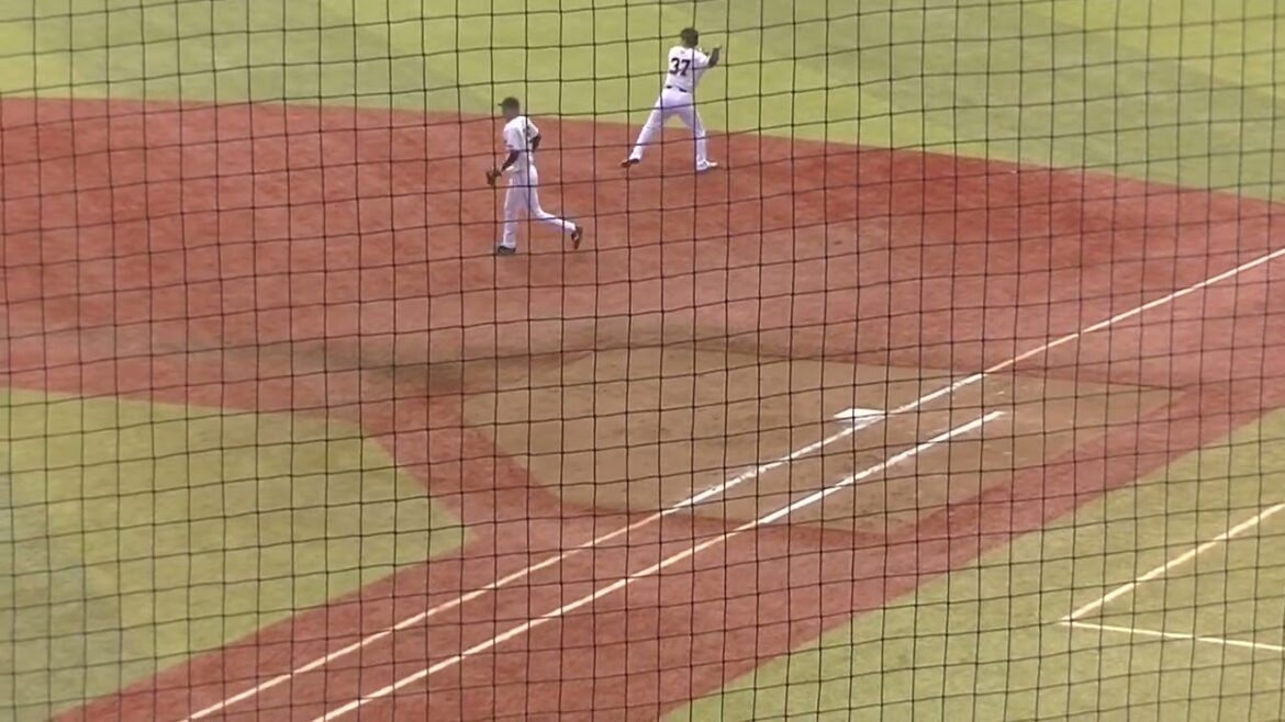 大城卓三の打球〜郡拓也が上手い（読売ジャイアンツ紅白戦2025年11月12日 巨人秋季キャンプ