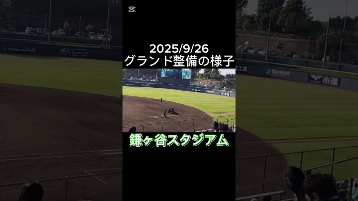 【FIGHTERS】鎌ヶ谷スタジアムのグランド整備の様子 #shorts #北海道日本ハムファイターズ #プロ野球