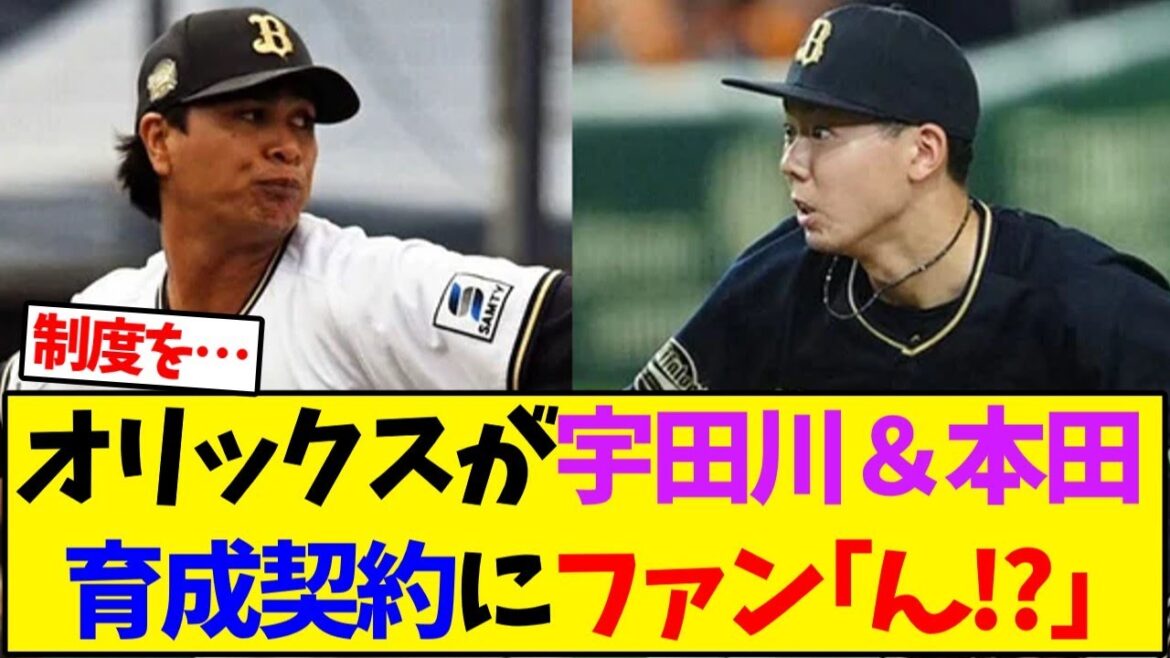 【オリックス】宇田川&本田育成契約にファン「ん!?」【野球反応集】 【オリックス】宇田川&本田育成契約にファン「ん!?」【野球反応集】