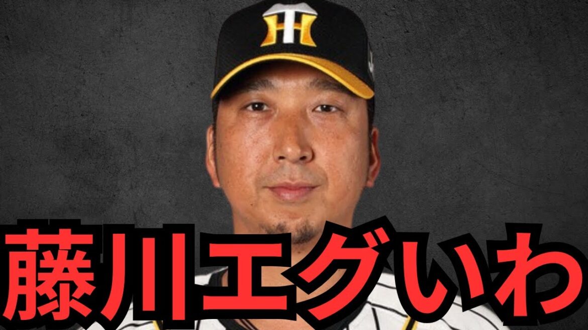 阪神藤川監督はマジで失言ないな… 新人選手たちに言ったアドバイスが俺の心にも響いてもうたわ… 話変わるけど、どんでんは相変わらずサトテルに厳しいな！！それだけ期待してるんやろうな！