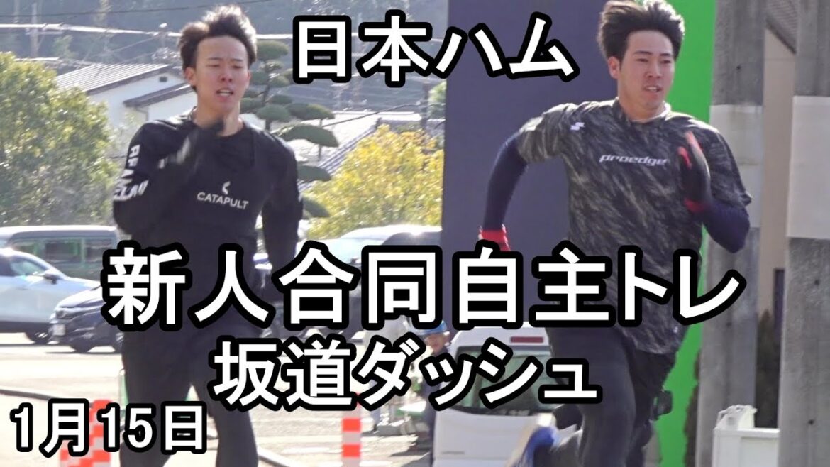 坂道ダッシュ、日本ハム新人合同自主トレ第３クール２日目2026.1.15