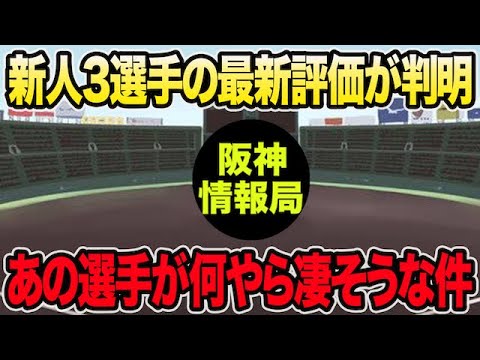 【首脳陣が早速高評価も】特にあの選手が何やら凄そうな件について【阪神タイガース】 【首脳陣が早速高評価も】特にあの選手が何やら凄そうな件について【阪神タイガース】