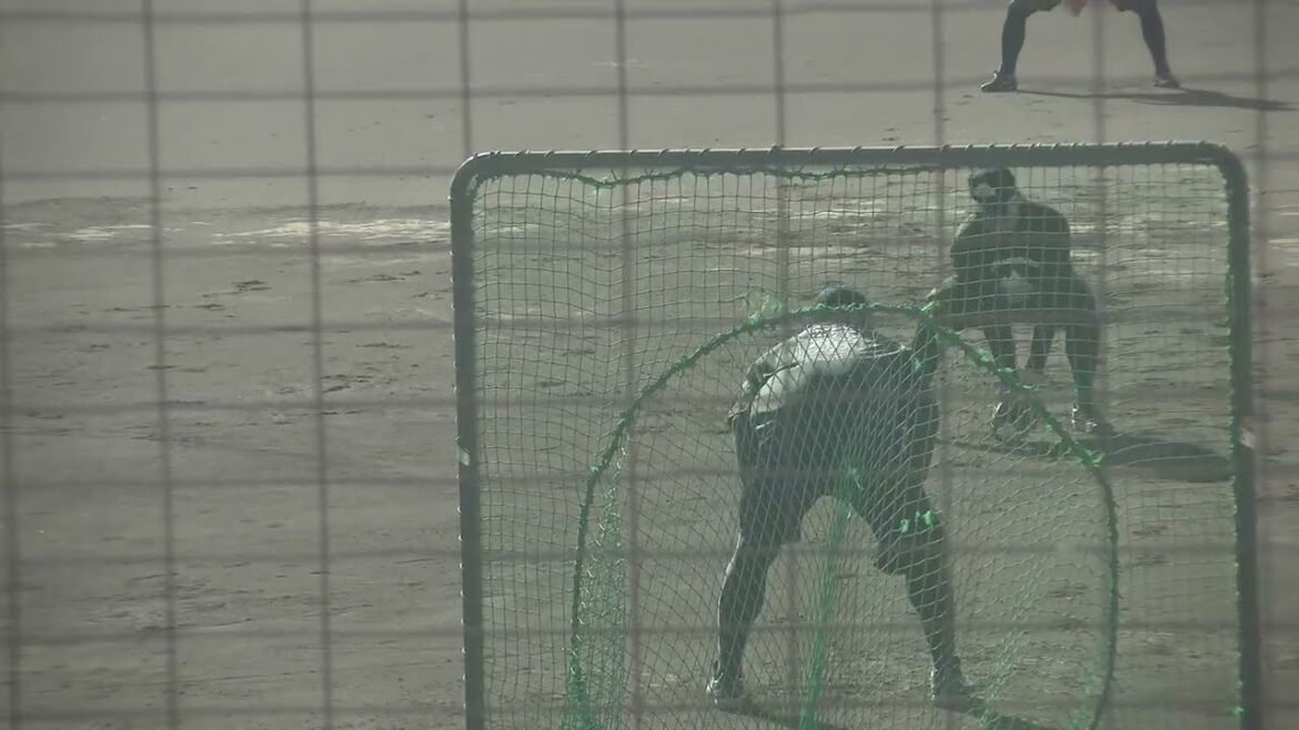 【チームザキ】フィールディング?のトレーニング 阪神タイガース 岩崎優投手・桐敷拓馬投手・及川雅貴投手 オイシックス新潟 髙田琢登投手 山梨ファイアーウインズ 吉原大稀選手2026/1/11