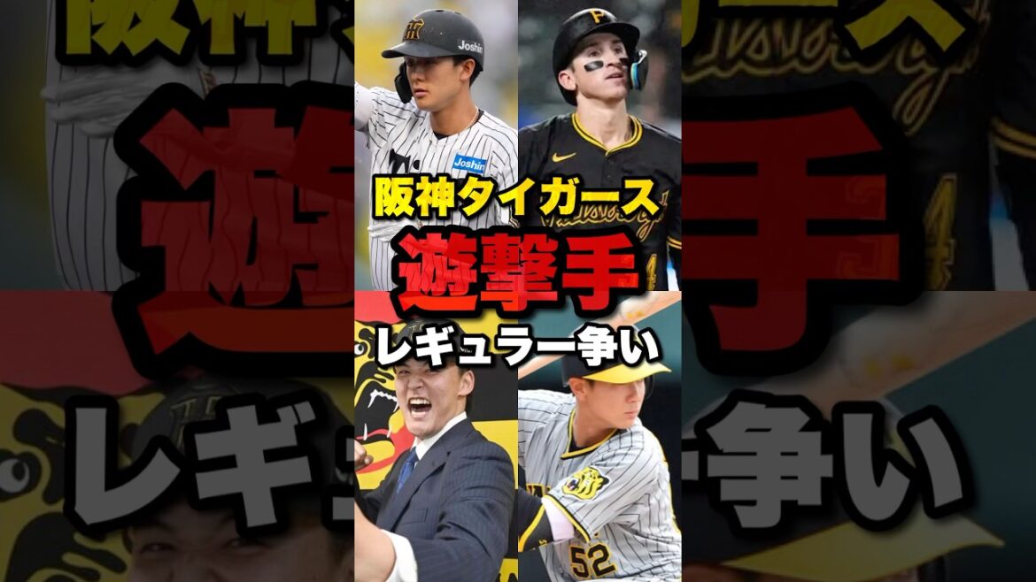 【キャンプ大注目】阪神ショート争い🐯🔥あなたのイチオシは❓#阪神タイガース #阪神 #プロ野球