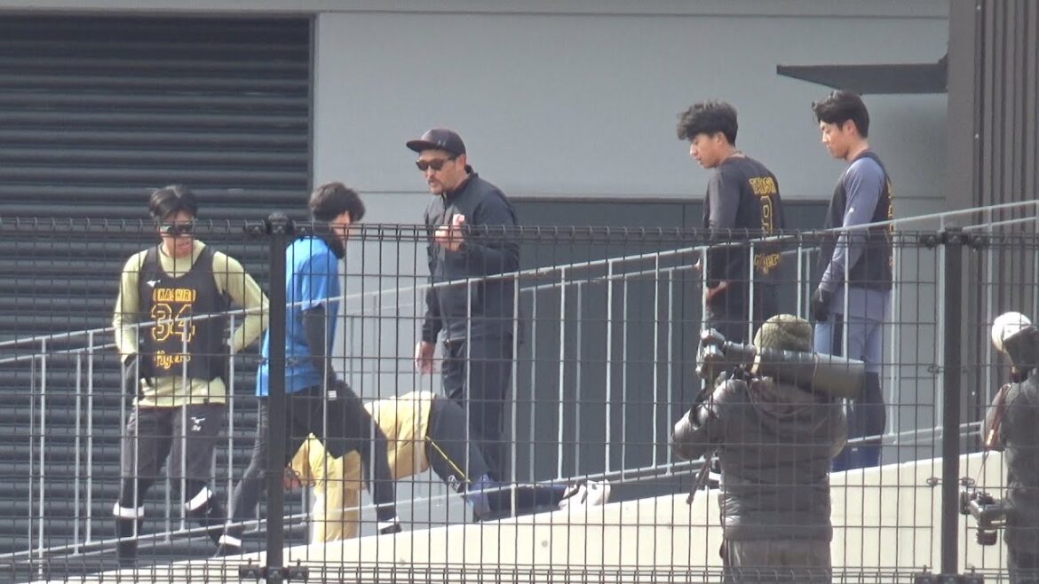 【坂道練習】SGLスタジアム名物『大物坂』にルーキーたちが挑む！下半身を鍛えるため様々な練習を繰り返しプロとしての体づくりに励む！！【阪神新人合同自主トレ】2026.1.15