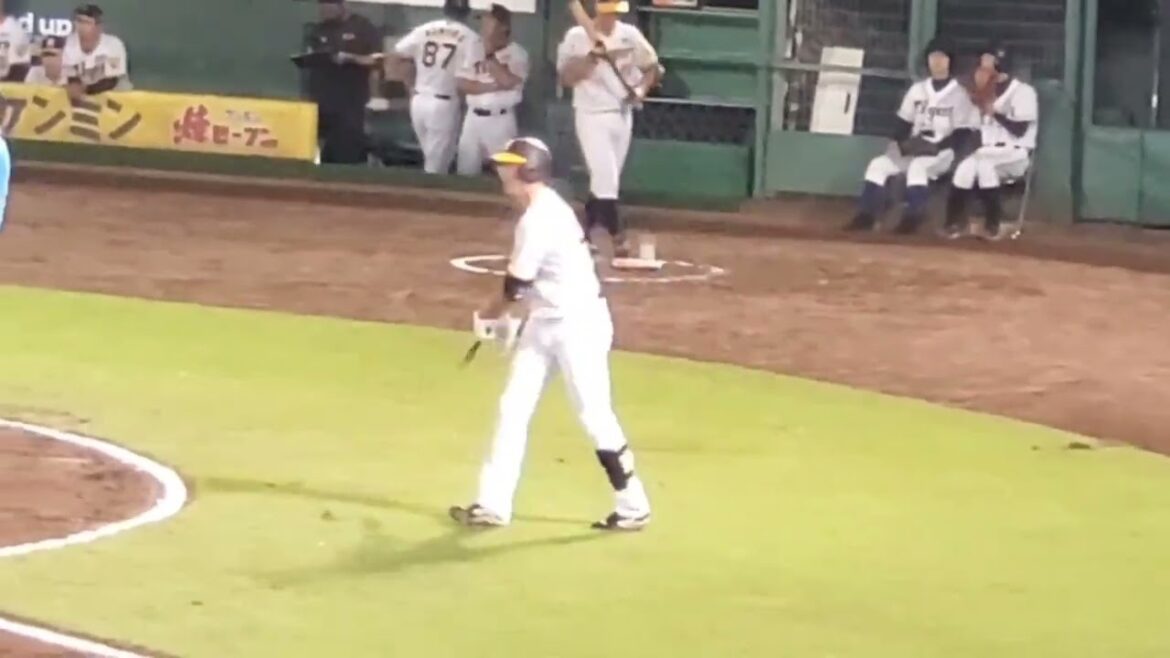 20240824　代打･髙濱祐仁 第1打席の登場曲【｢題名のない今日｣／平井大】　7回ｳﾗ　阪神ﾀｲｶﾞｰｽ2軍@ほっともっとﾌｨｰﾙﾄﾞ神戸［ｳｴｽﾀﾝ･ﾘｰｸﾞ 2軍戦］