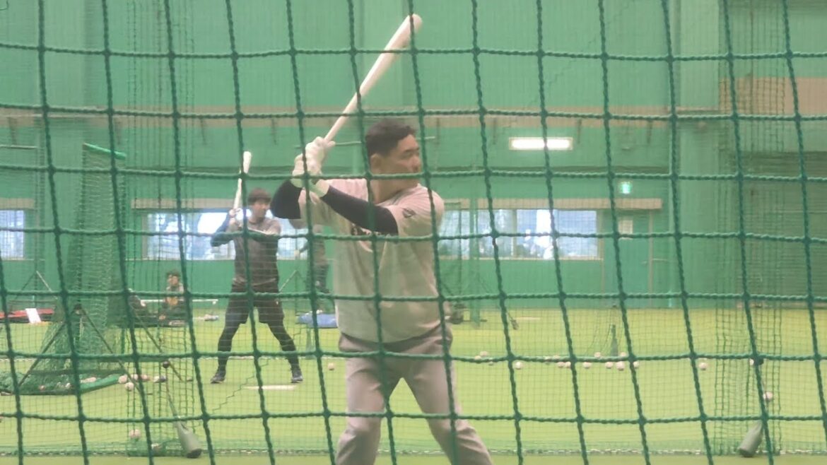 東京ヤクルトスワローズ合同自主トレーニング2026 松山中央公園屋内運動場1/12
