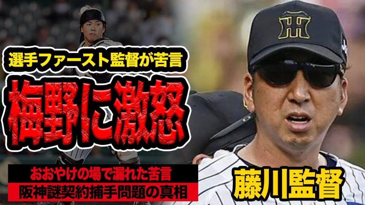 藤川球児監督が正式に梅野隆太郎に激怒！！独走の裏で囁かれる功労者の「今季終了」と非情なる粛清の全真相【プロ野球】