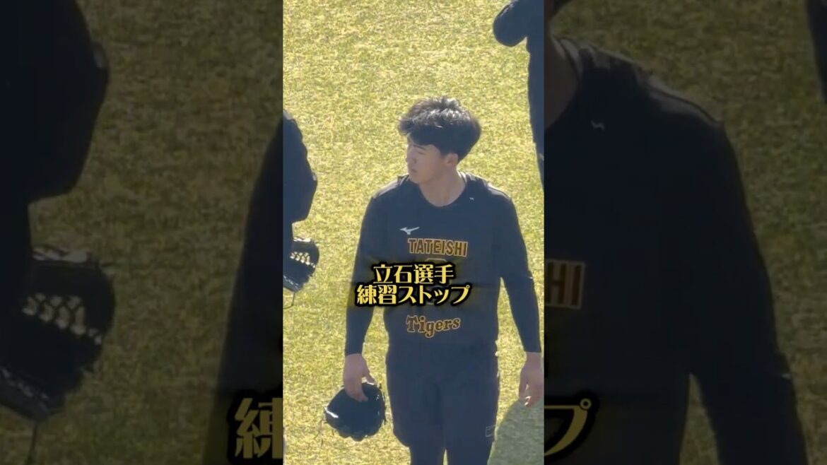 立石選手が練習を途中でストップ26/1/17尼崎 #阪神タイガース #阪神 #阪神ファン #立石正広 #創価大学 #プロ野球 #自主トレ #尼崎 #ドラフト1位