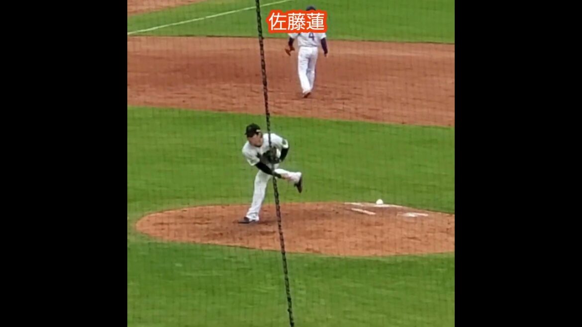 20251112　#佐藤蓮　#投球練習　#shorts　投球ﾌｫｰﾑ　　阪神ﾀｲｶﾞｰｽ@MAZDA Zoom-Zoom ｽﾀｼﾞｱﾑ広島［ｴｲﾌﾞﾙ ﾄﾗｲｱｳﾄ2025］