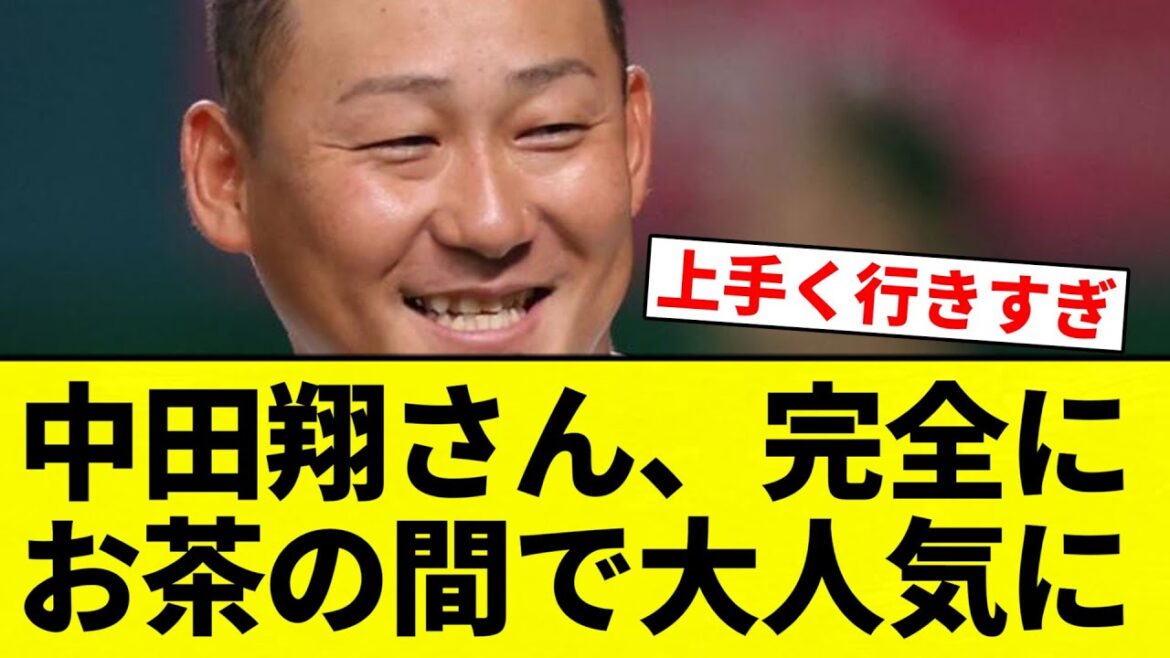【大人気翔さん】中田翔さん、完全にお茶の間で大人気に【プロ野球反応集】【2chスレ】【なんG】