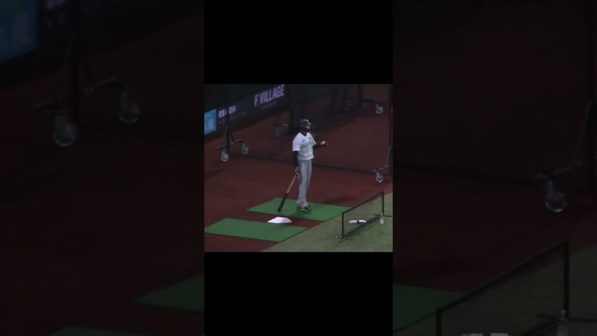 シューッって言ってそうな丸佳浩のトスバッティング（ NPBオールスター 2024年7月23日）