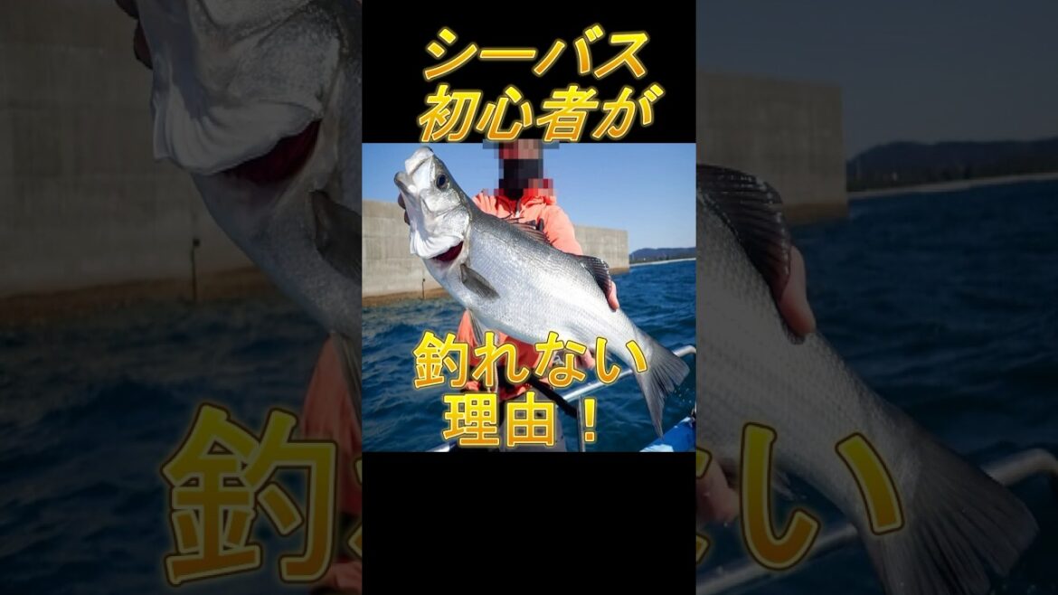 シーバス初心者が釣れない理由#シーバス#シーバス釣れない