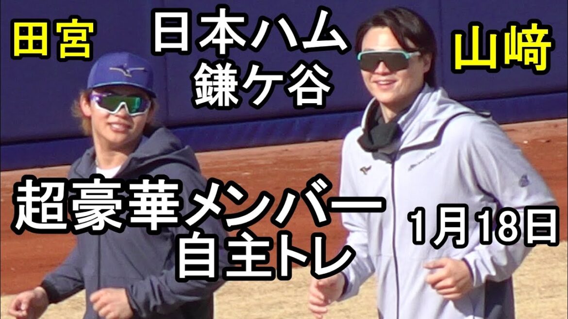 山﨑福也 田宮裕涼 達孝太 万波中正、超豪華メンバー自主トレ（日本ハム鎌ケ谷）2026.1.18