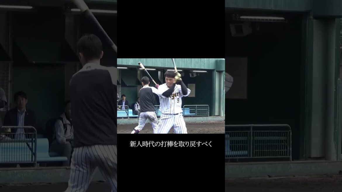 金本元監督でも救えなかった阪神高山選手 #プロ野球