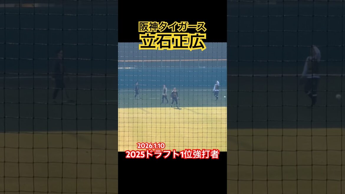 #立石正広 #ドラフト #阪神タイガース #創価大学 #プロ野球