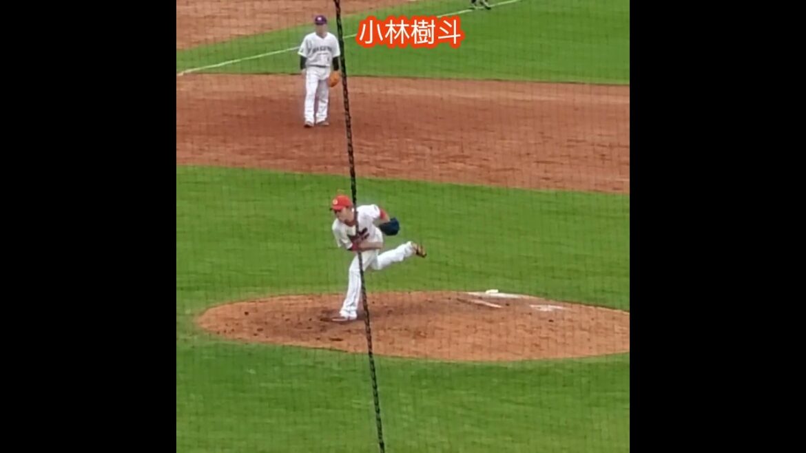 20251112　#小林樹斗　#投球練習　#shorts　投球ﾌｫｰﾑ　広島東洋ｶｰﾌﾟ@MAZDA Zoom-Zoom ｽﾀｼﾞｱﾑ広島［ｴｲﾌﾞﾙ ﾄﾗｲｱｳﾄ2025］