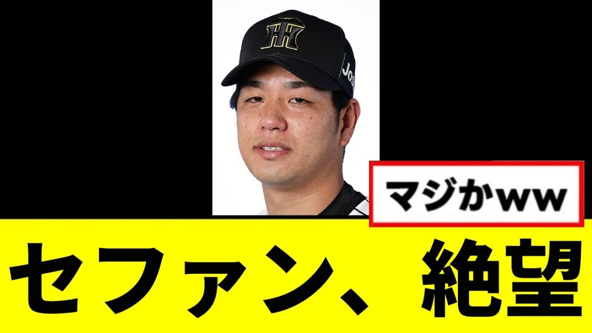 【阪神】セファン、絶望してしまうｗｗｗｗｗ