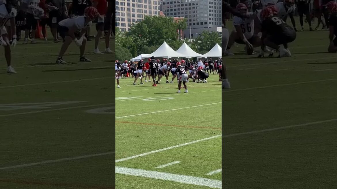 Shemar Stewart on his first Camp snap Sunday