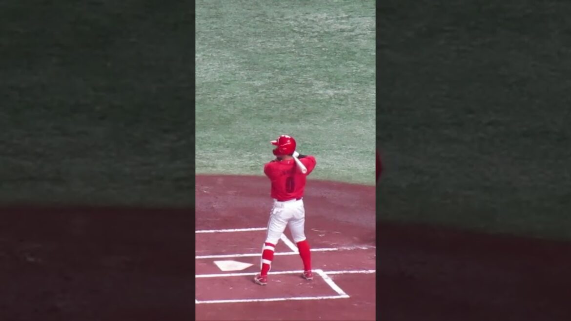 【広島カープ】上本崇司の打撃フォーム 2024年6月28日 読売ジャイアンツ 対 広島東洋カープ　#バッティングフォーム