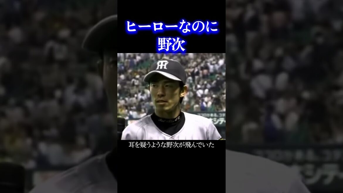 入ってねえんだよこの野郎 #阪神タイガース