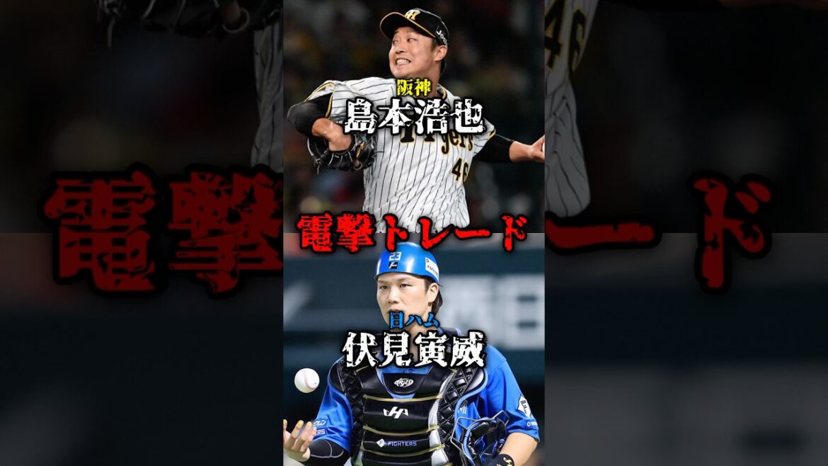 【超速報】阪神電撃トレード‼️阪神・島本浩也(32)↔日ハム・伏見寅威(35)成立✅#阪神タイガース #阪神 #プロ野球 #日本ハム