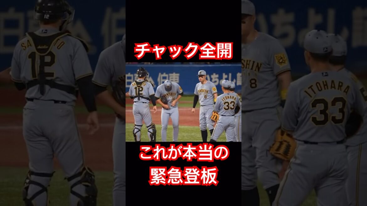 畠投手、チャック全開なほどの緊急登板だった。 #阪神タイガース #畠 #才木 #shorts