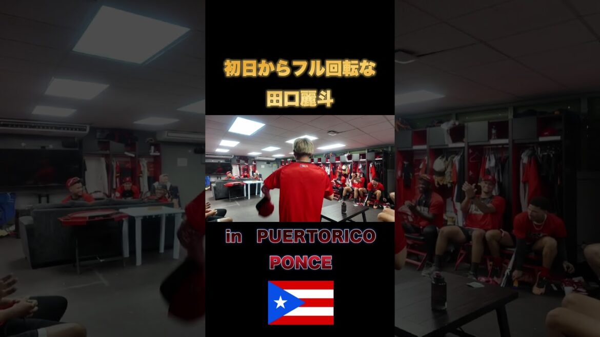 【プエルトリコ】ウィンターリーグ合流初日からフル回転な田口麗斗  #プロ野球