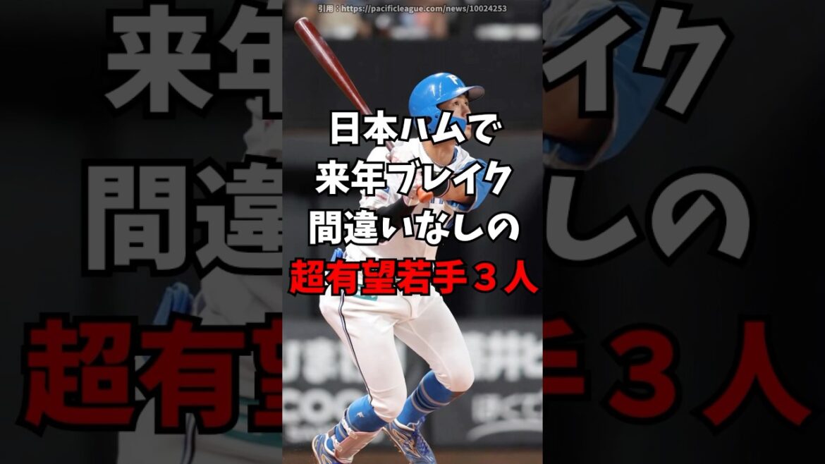 日本ハムで来年ブレイク間違いなしの若手3人【北海道日本ハムファイターズ】　#新庄監督
