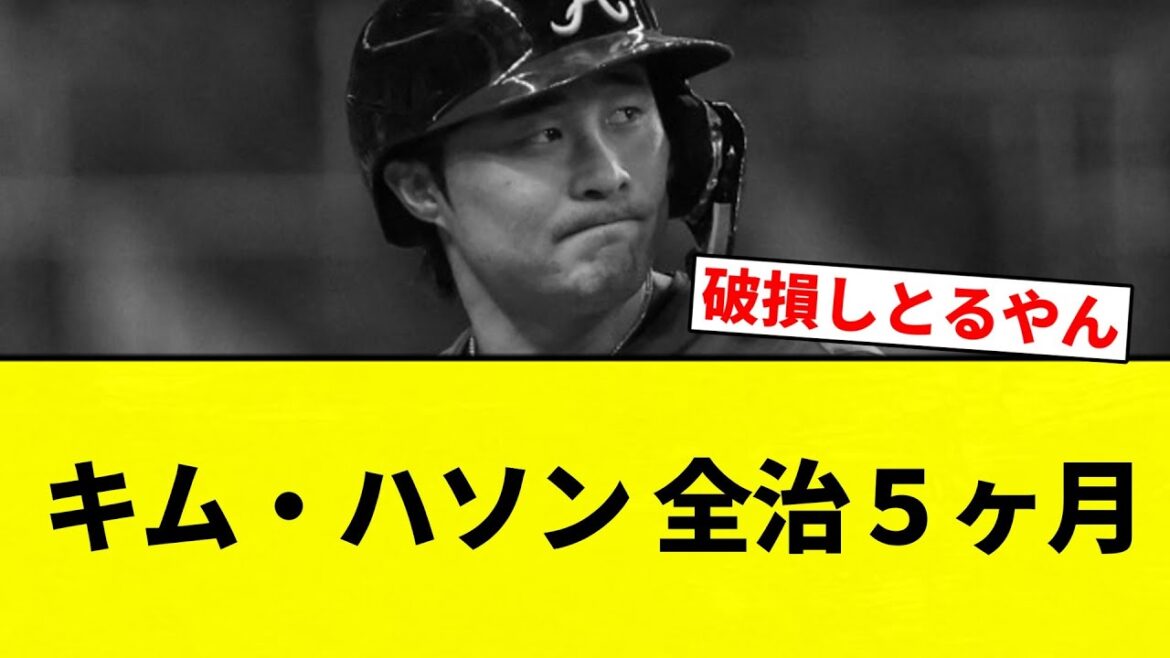 【悲しい】キム・ハソン 全治５ヶ月【プロ野球反応集】【2chスレ】【なんG】