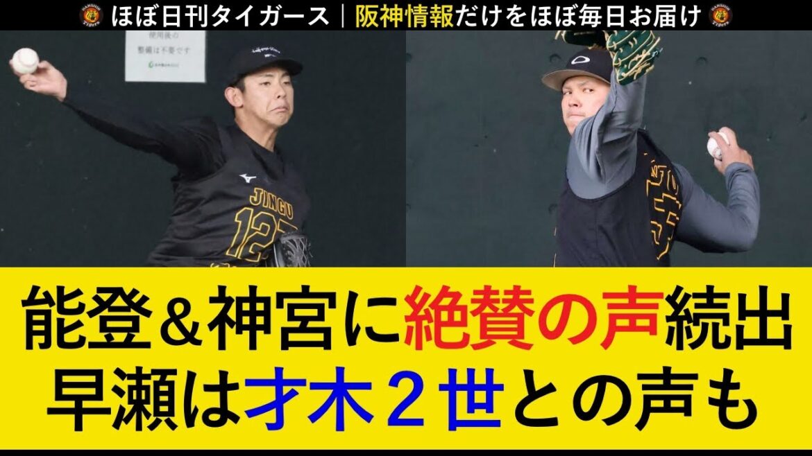 【また下位で逸材発掘か】能登＆神宮は早期の一軍デビューも？早瀬は肉体改造で才木2世になれるか【阪神タイガース】