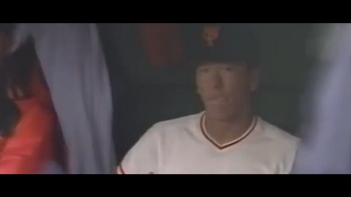 プロ野球 プロの洗礼集