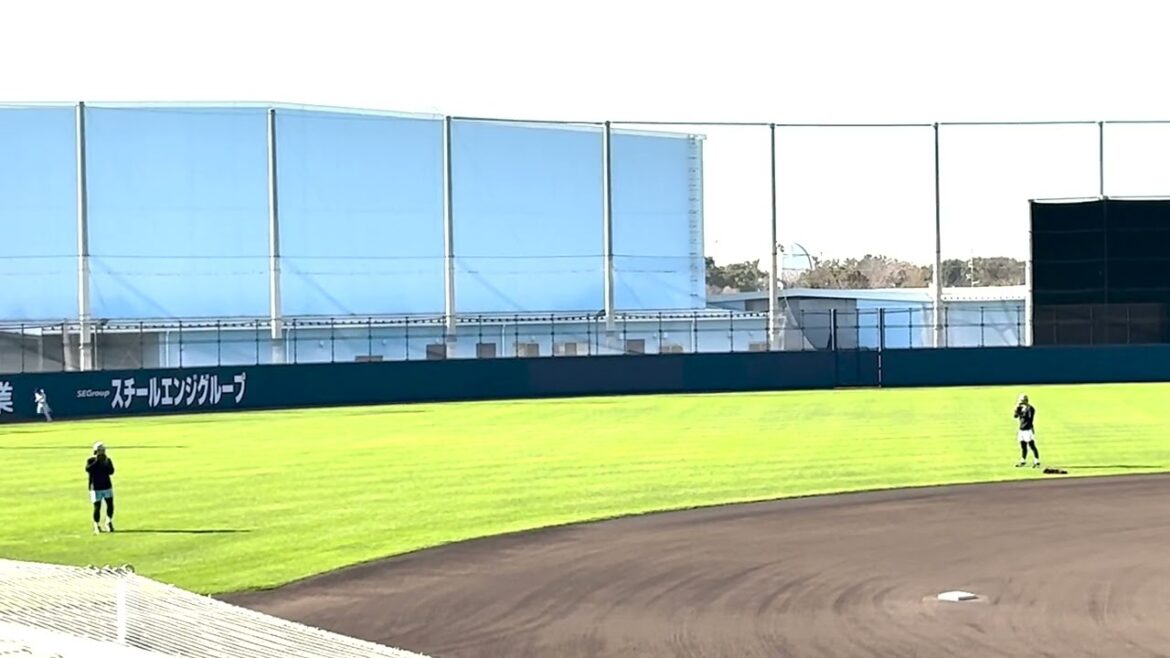 【自主トレ】ペータと寺西のキャッチボール