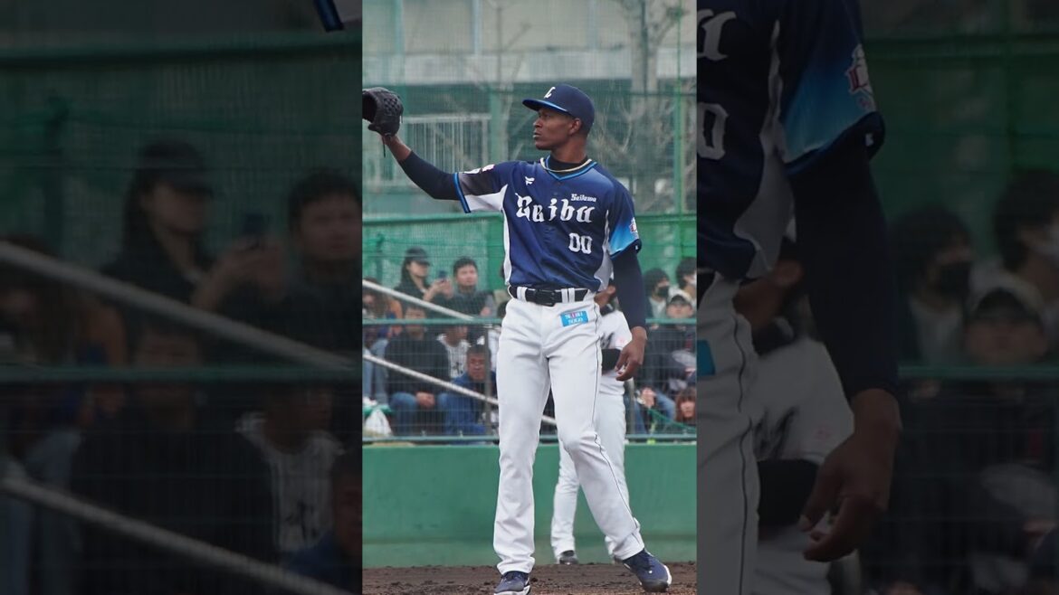 2024.04.06 千葉ロッテ-埼玉西武(ロッテ浦和) ヤン 投球シーン #プロ野球 #seibulions 2024.04.06 千葉ロッテ-埼玉西武(ロッテ浦和) ヤン 投球シーン #プロ野球 #seibulions