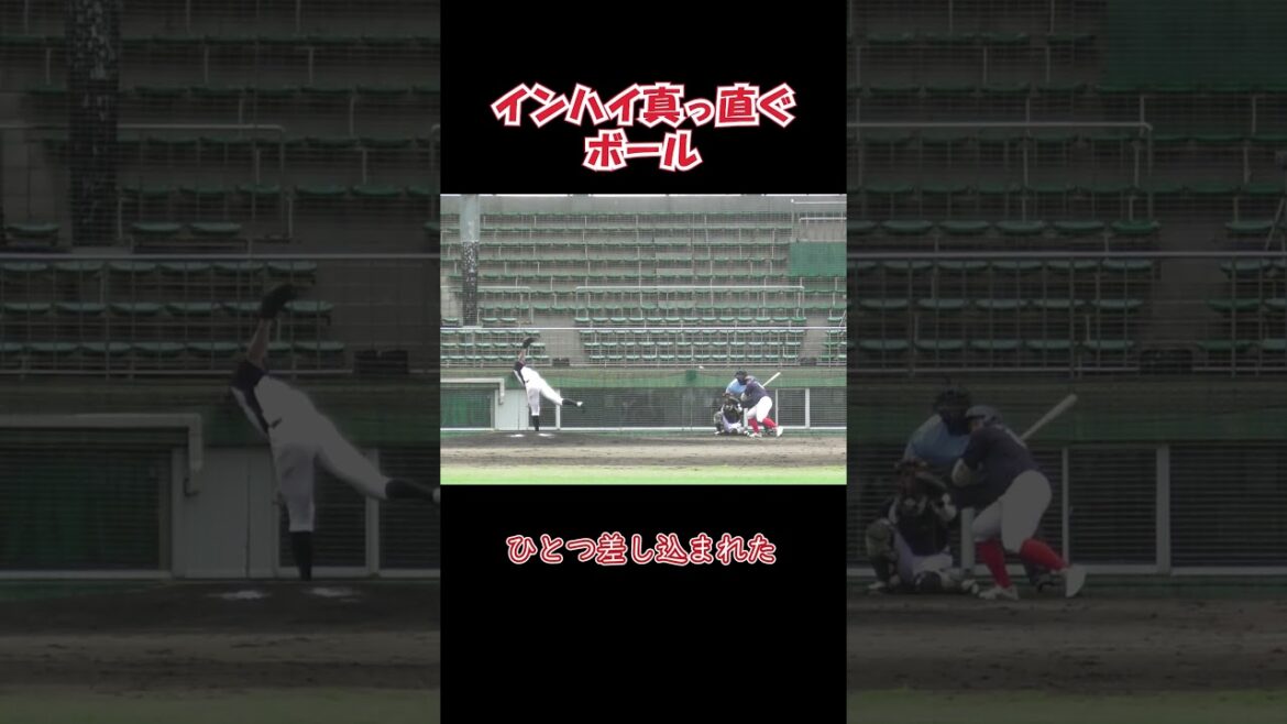 【全球】ひとつ差し込まれた　#shorts #baseball #野球  #バッティング #野球のミカタ #打撃探究部屋