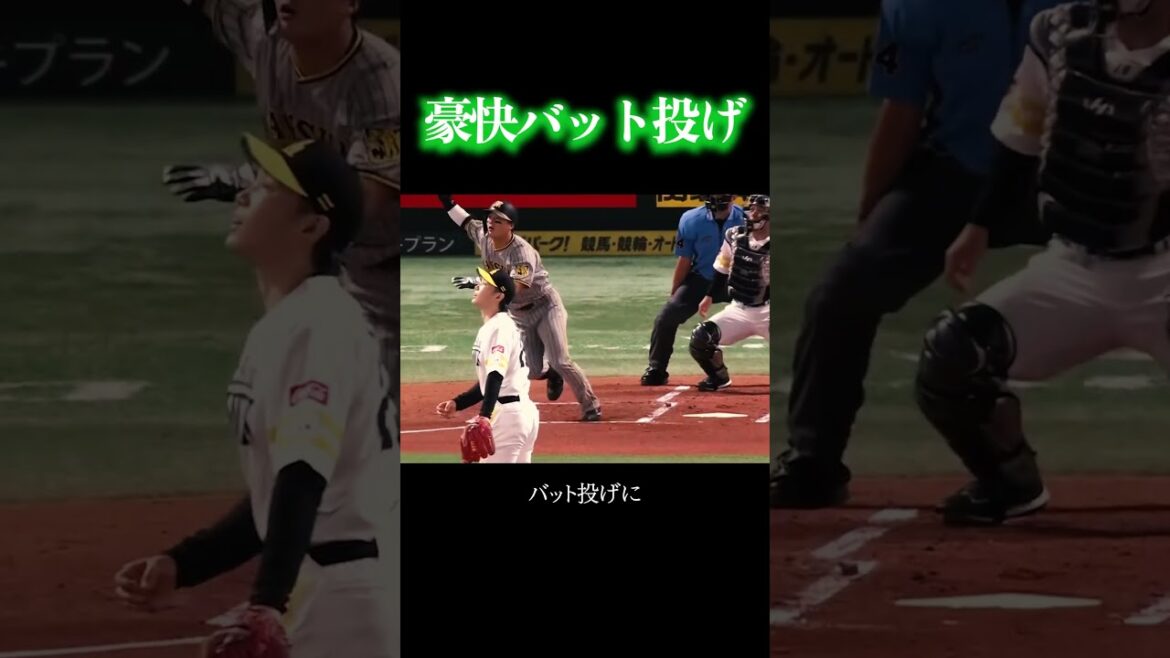 今年こそ覚醒が期待される前川右京 #阪神タイガース