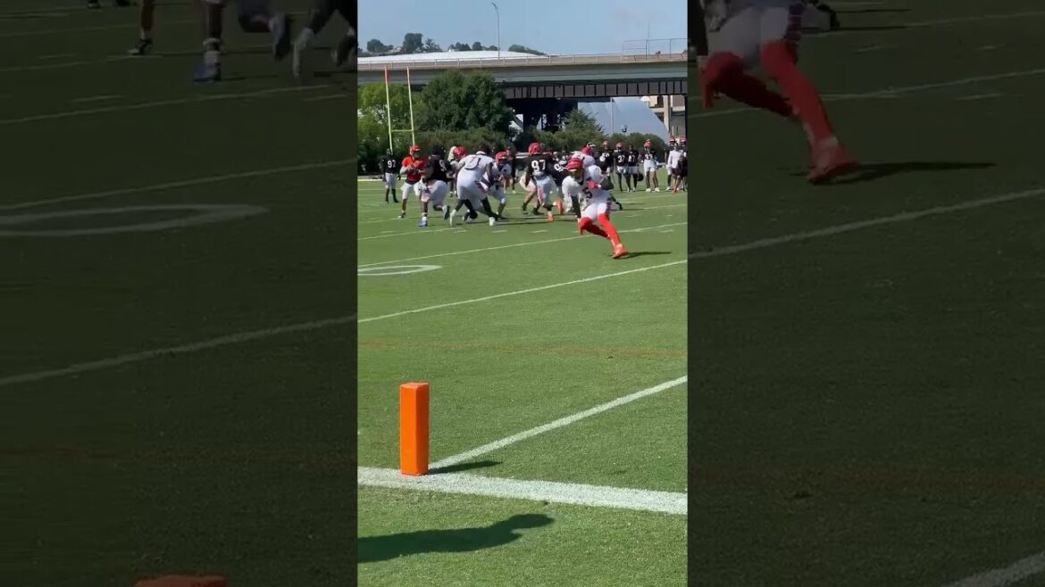 Joe Burrow with a strike to Tee Higgins for TD in red zone Wednesday