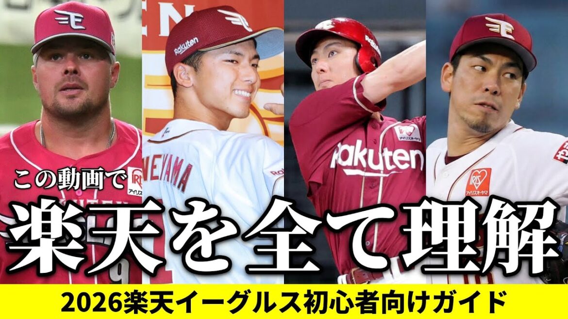 【初心者向け】この1本で今シーズンの楽天が全て分かる動画【イーグルス】