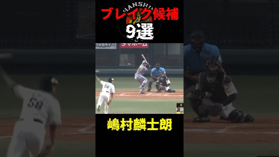 【阪神】来季ブレイク候補9選🐯🔥皆さんの予想は❓コメント欄まで✅#阪神タイガース #阪神 #プロ野球