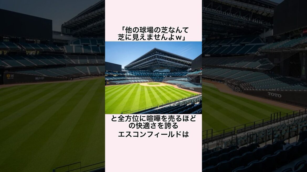 「野球界のリゾートホテル」エスコンフィールドに関する雑学 #プロ野球 #エスコンフィールド #北海道日本ハムファイターズ