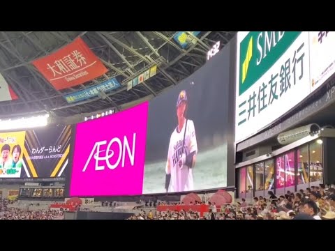 20240817 石塚綜一郎 登場曲【「わんダーらんど」/豆柴の大群】 2回ウラ 福岡ソフトバンクホークス@みずほPayPayドーム福岡・ライト外野 20240817 石塚綜一郎 登場曲【「わんダーらんど」/豆柴の大群】 2回ウラ 福岡ソフトバンクホークス@みずほPayPayドーム福岡・ライト外野